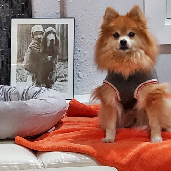 Loki LittleBear 2006-2020 (RSVP delayed shipments) - Picture 3 of 14